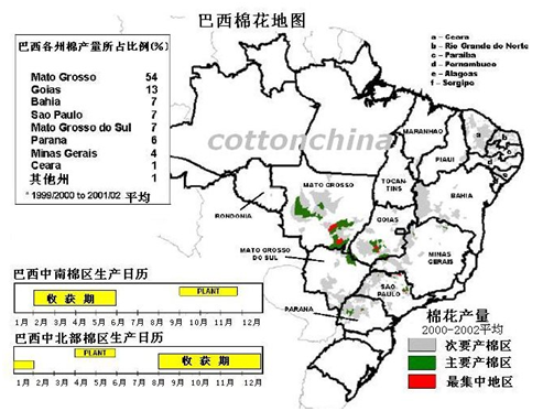 巴西墨西哥棉花基本概況