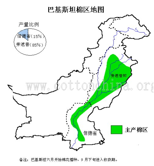 巴基斯坦棉花基本概況